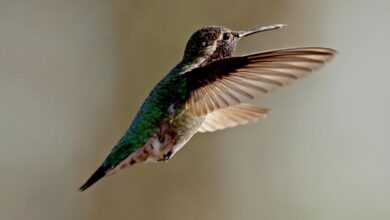 How Business School Can Be A Force For Positive Change In The World