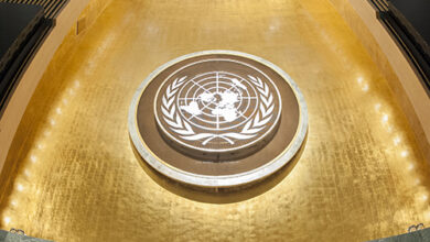 Chapter IX: International Economic and Social Cooperation (Articles 55-60)