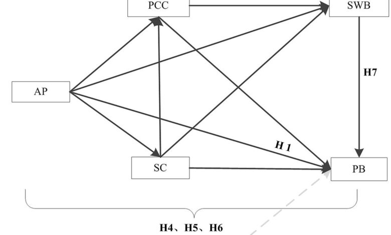 The influence of academic pressure on adolescents’ problem behavior: Chain mediating effects of self-control, parent–child conflict, and subjective well-being The influence of academic pressure on adolescents’ problem behavior: Chain mediating effects of self-control, parent–child conflict, and subjective well-being
