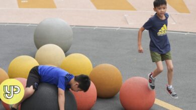 Why are Hong Kong happiness levels down? Start by looking at education, expert says – Young Post