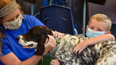 As Classrooms Reopen, Why Schools Should Also Save a Place for Therapy Animals – The 74