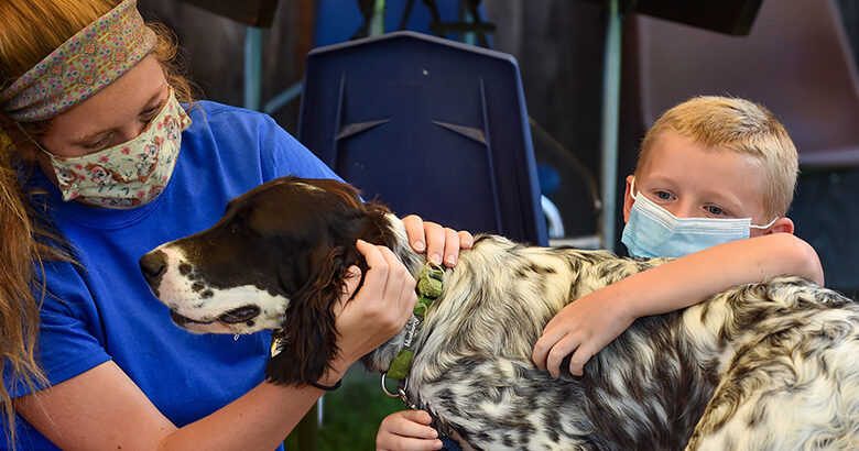As Classrooms Reopen, Why Schools Should Also Save a Place for Therapy Animals – The 74 As Classrooms Reopen, Why Schools Should Also Save a Place for Therapy Animals – The 74