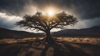 Stories of Strength and Growth