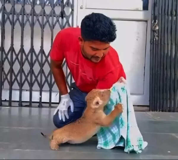 -