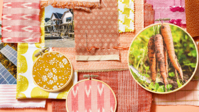 The Best Charities to Donate to in 2020