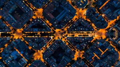 Fighting fraud in nonprofits: How best to protect donor dollars