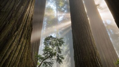 A World Where People & Nature Thrive A World Where People & Nature Thrive