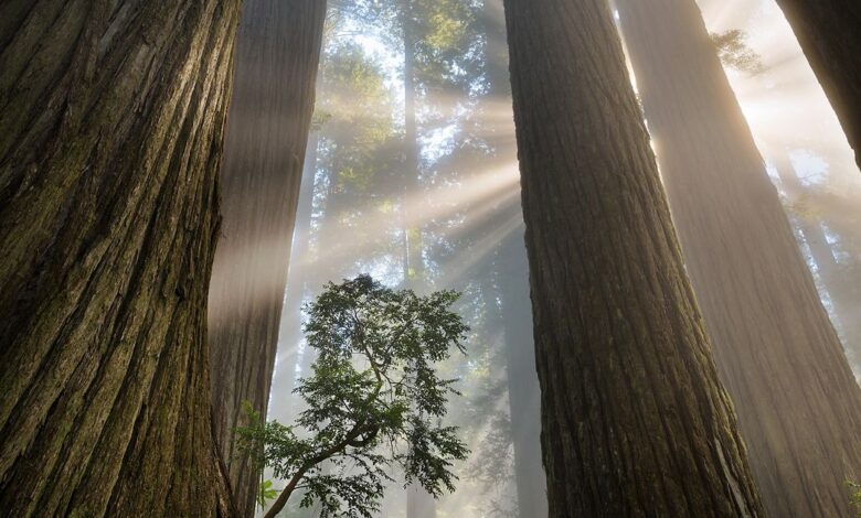 A World Where People & Nature Thrive A World Where People & Nature Thrive